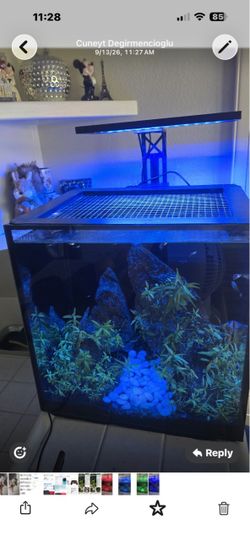 Fish Tank