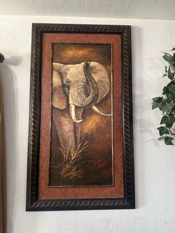 Safari frames