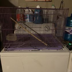 Bird Cage 