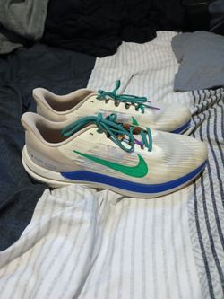 Nike Air Winflo 9 PRM