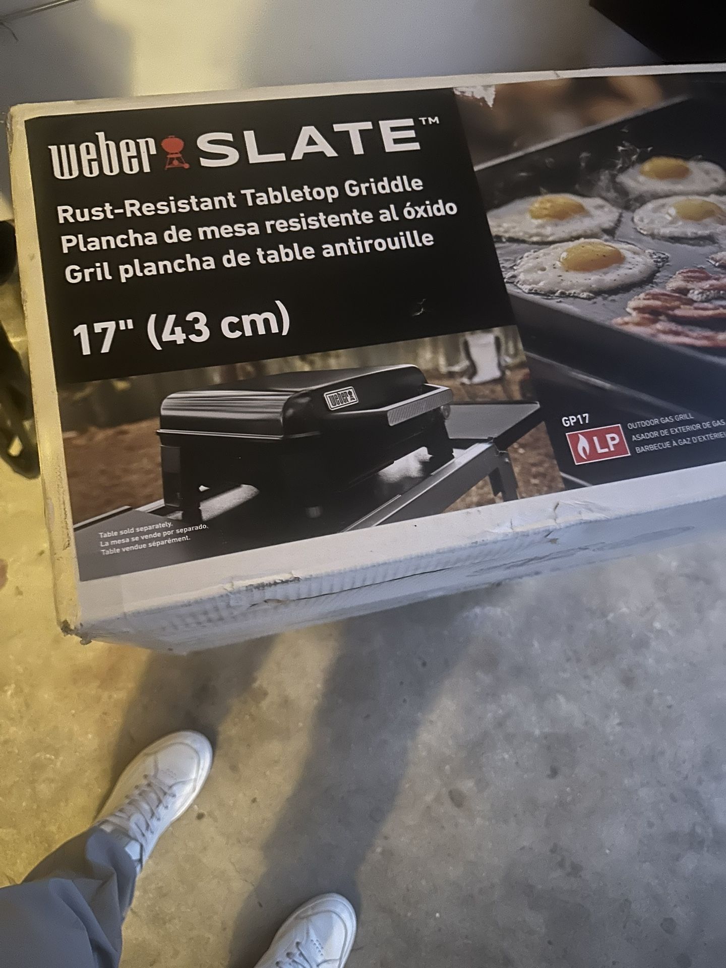 Weber Slate Grill