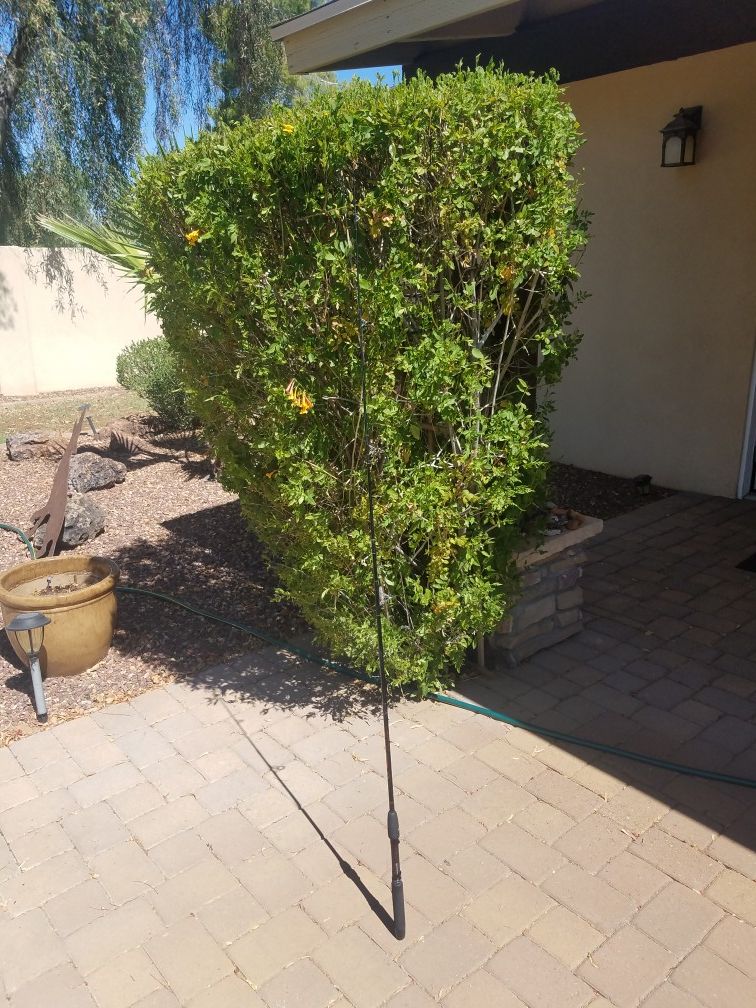 Bass Pro Crappie rod