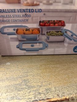 Stainless food containers