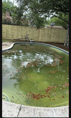 Pool S3rvic3s