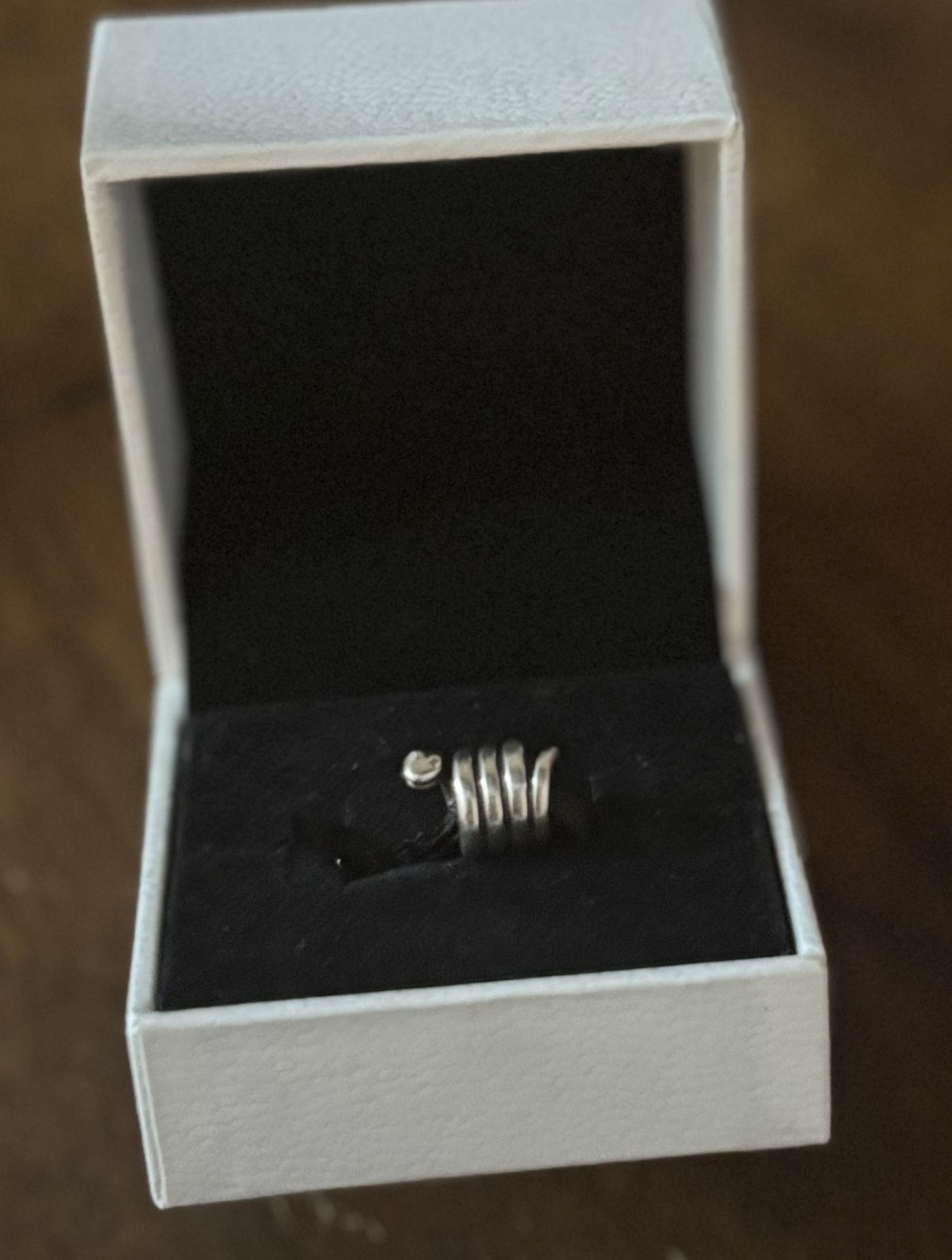 Pandora snake Charm