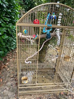 Big parrot Cage