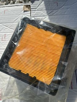 Air Filter / Filtro De Aire