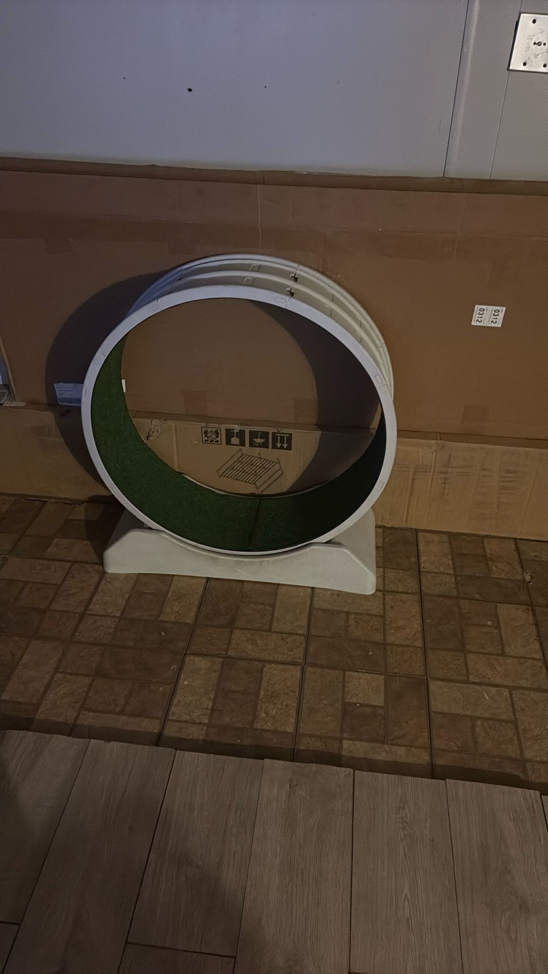 Treadmill For Cats