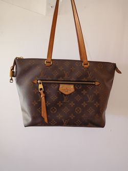 Louis Vuitton purse ensemble
