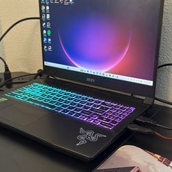 Gaming Laptop / Setup