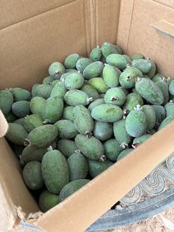 Feijoas (Fruit)