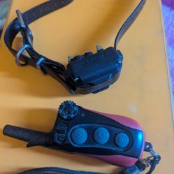 Dogtra IQ Plus 