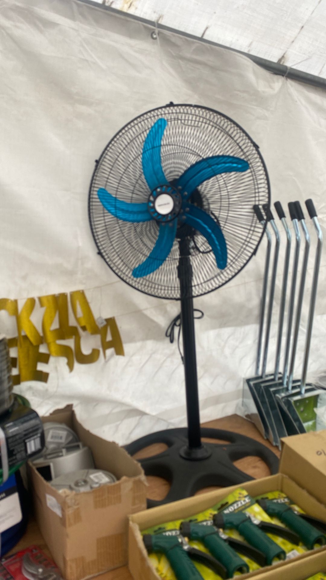 Fans