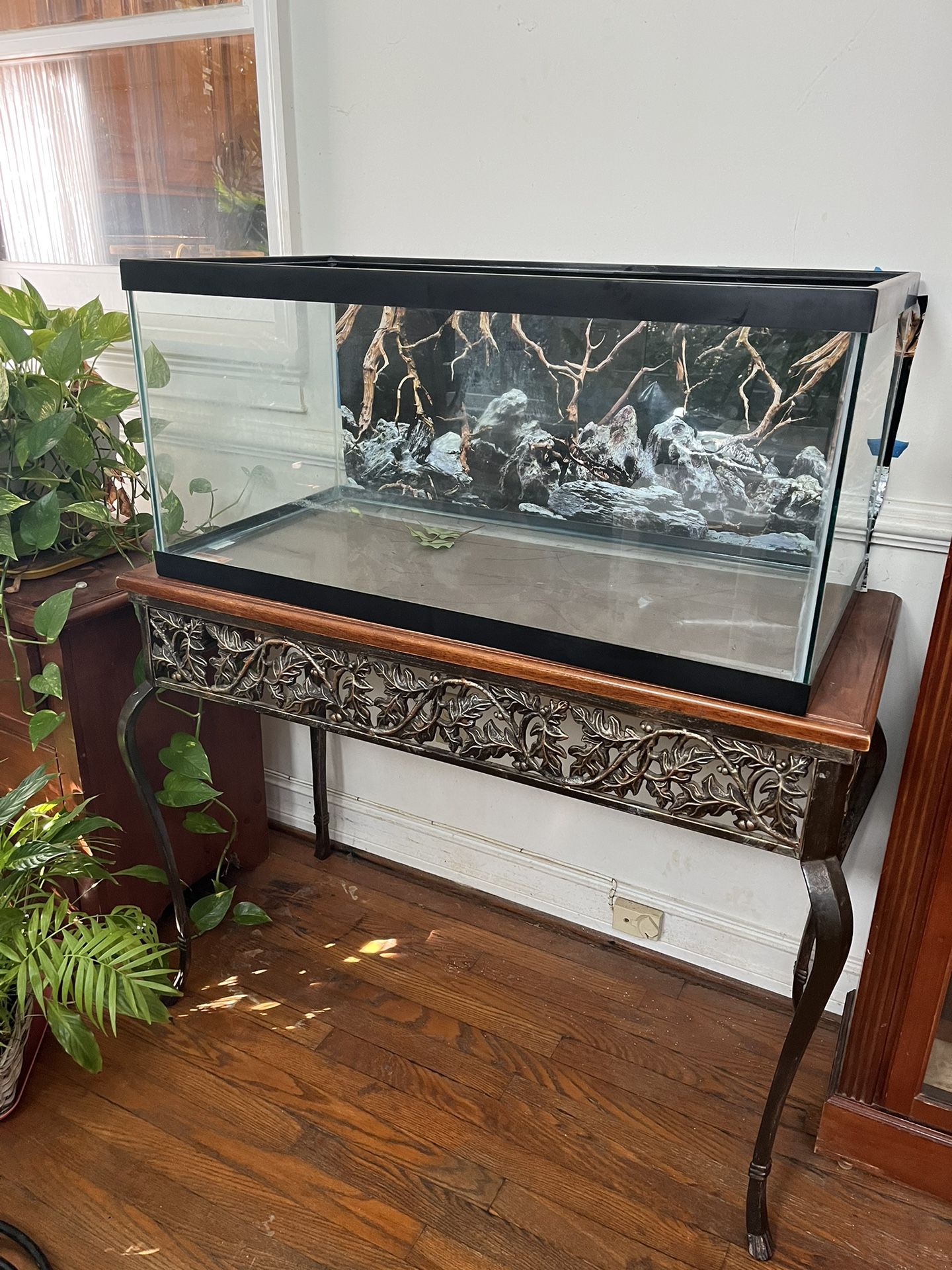 55 Gallon Tank