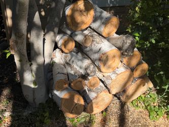 Birch Wood Logs -Fresh Cut- Firewood / Crafts/ Rustic Décor