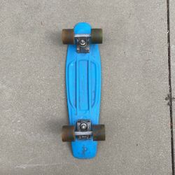 Penny Board Skateboard