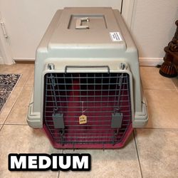 Medium Dog Taxi