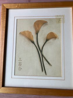 Wall pitcher frame