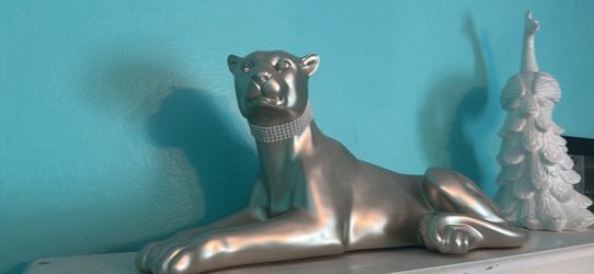 Silver cat