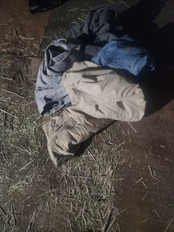 Men's pants and shorts size forties