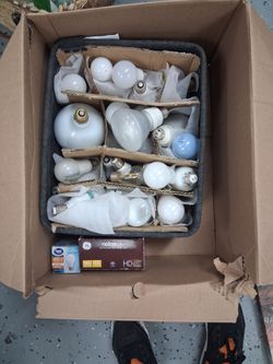 ​Huge Household Light Bulb Lot (30+ LEDs, Floods, Vanity Bulbs) w/ Divided Storage Bin