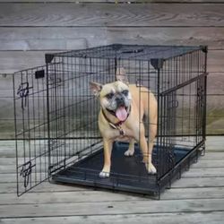 New In Box Med'lrg Dog Crate 2 Doors With Tray Foldable Portable Dog Cat Cage Animal Kennel