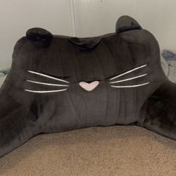 Lightly Used Bed Rest Pillow