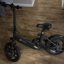 Electric Bike