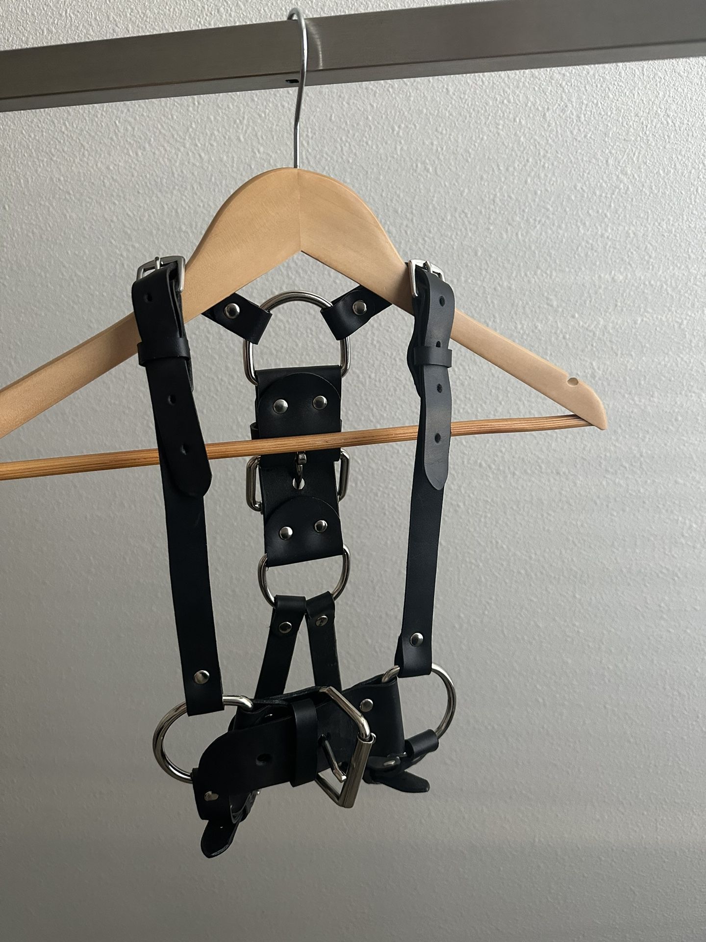 Leather Harness