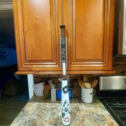 Demarini Voodoo-31-5(
