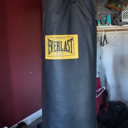 100 lbs everlast punching bag