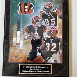 Cincinnati Bengals Rudi Johnson, Carson Palmer & Chad Johnson pictures on Plaque