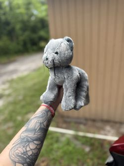 Grey Cat Webkinz
