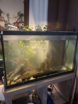 29 gallon