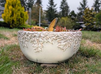 Large Ceramic Bowl Planter