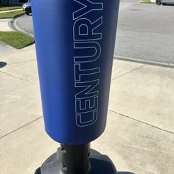 Stand Up Punching Bag