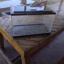 Fish Tank 