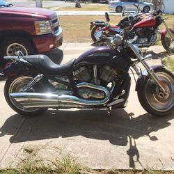 2005 Harley Davidson Vrod