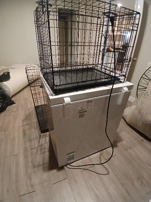 2 Dog Cages