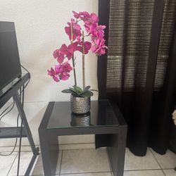 Fake Plant