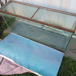 55 Gallon Tank 