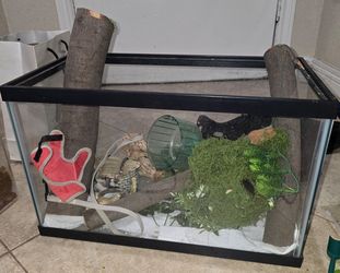 10 Gallon Tank Setup Complete – Wood Logs, Mini Wheel, Mini Harness & Accessories