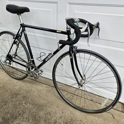 Vintage 52cm Giant Kronos 12-speed Road Bike