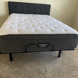 Queen Bed $300