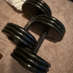 Dumbbell Weights