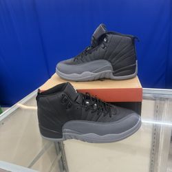 Air Jordan 12