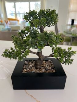 Artificial tree 9x6 in box and 13 height