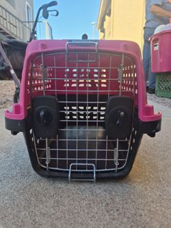 Kitten cage