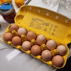 Farm Fresh Free Range Eggs