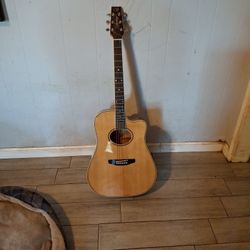 Vantage Acoustic Guitar
